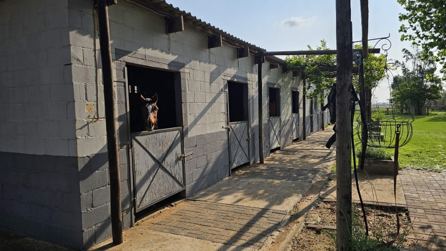 3 Bedroom Property for Sale in Mangaung Free State